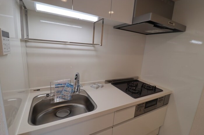 Ferro Pino その他9