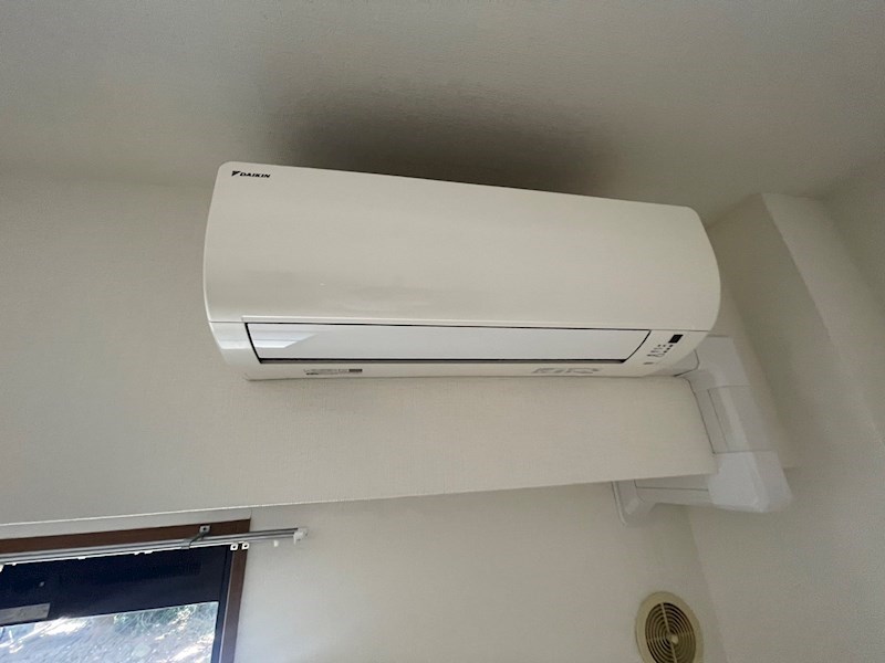 カトレア その他5