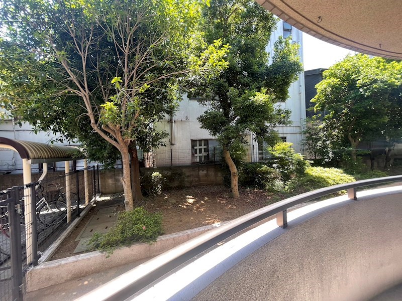 カトレア その他6