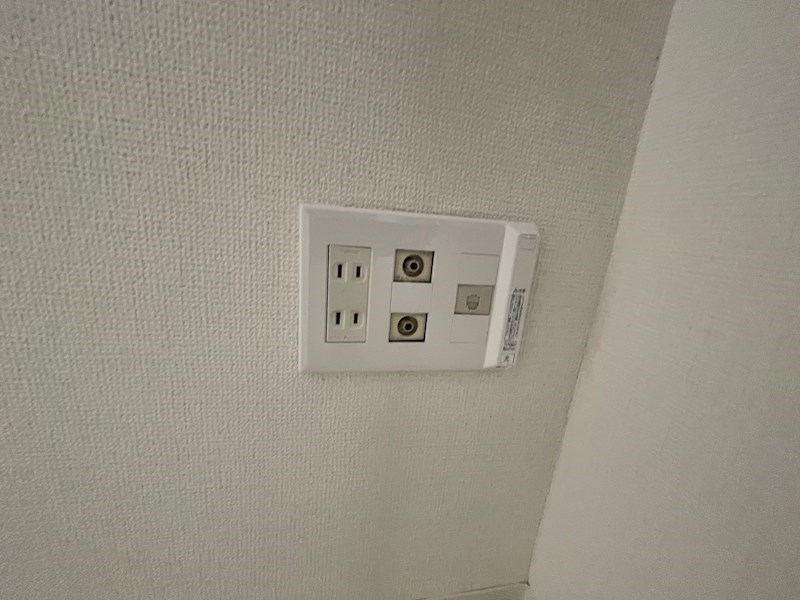 カトレア その他14