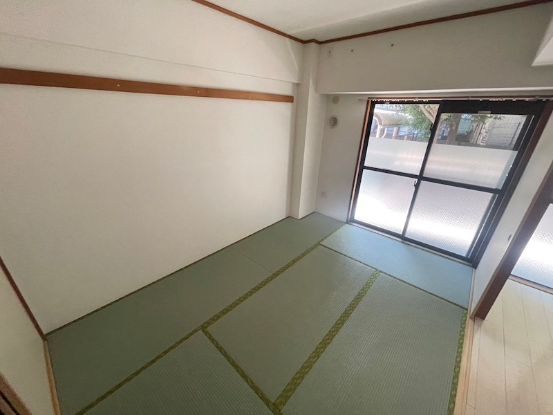 カトレア その他18