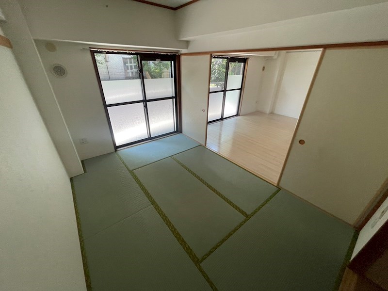 カトレア その他19