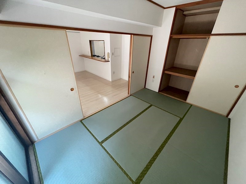 カトレア その他20