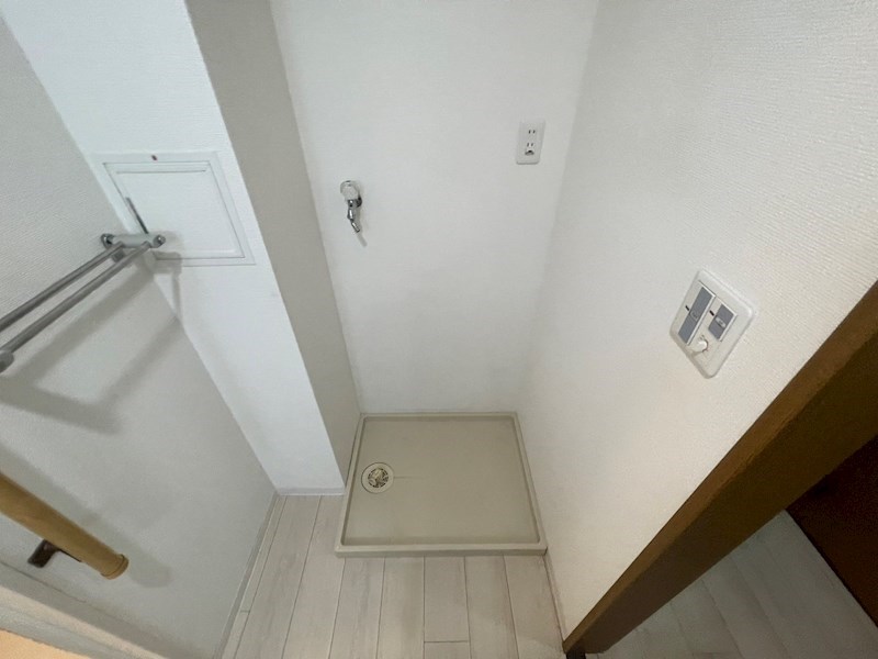 カトレア その他36