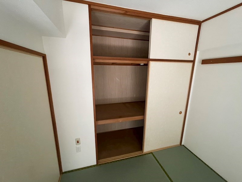 カトレア その他3