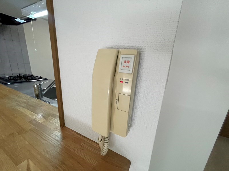 カトレア その他4