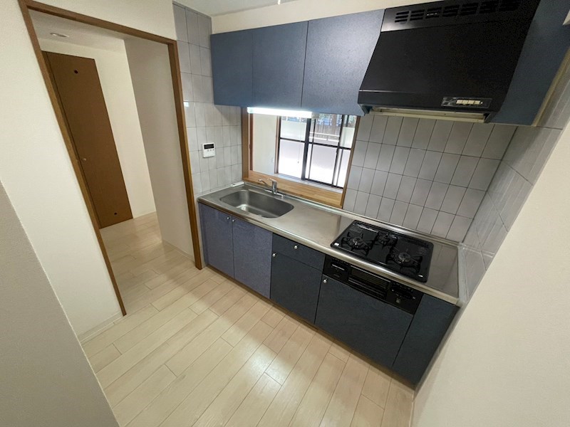 カトレア その他9