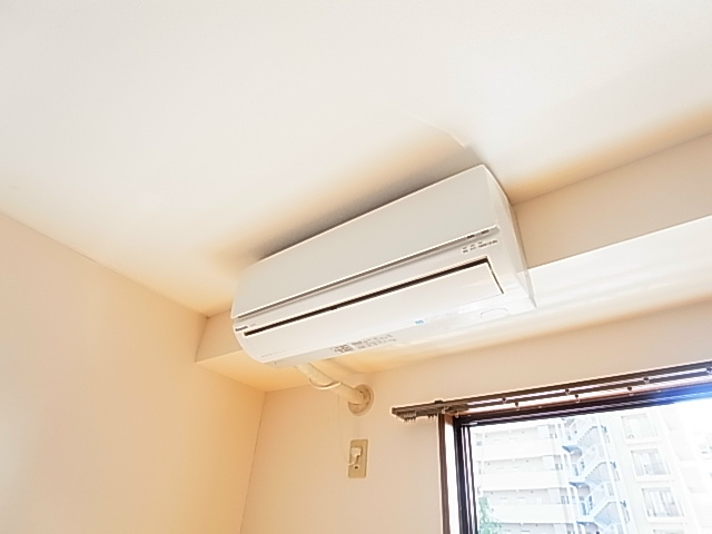 ラフィーヌ・プレミエ その他5