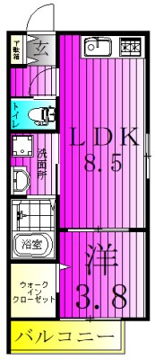 MJ松戸 301号室 間取り