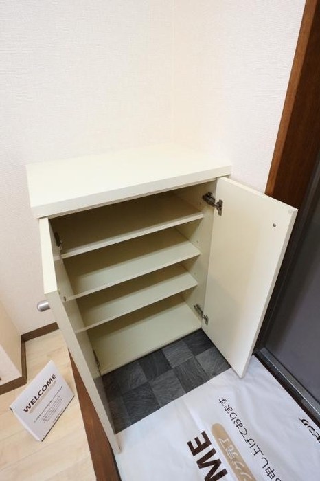 ミレニアムハイツ 玄関