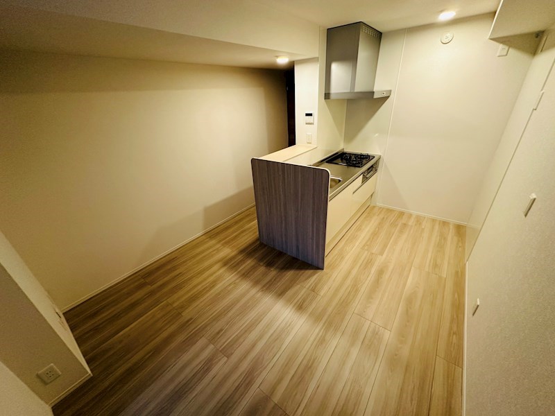 ルリアン千住緑町 リビング