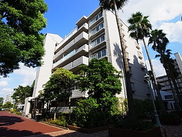 サンパセオ新柏E号館 806号室 外観