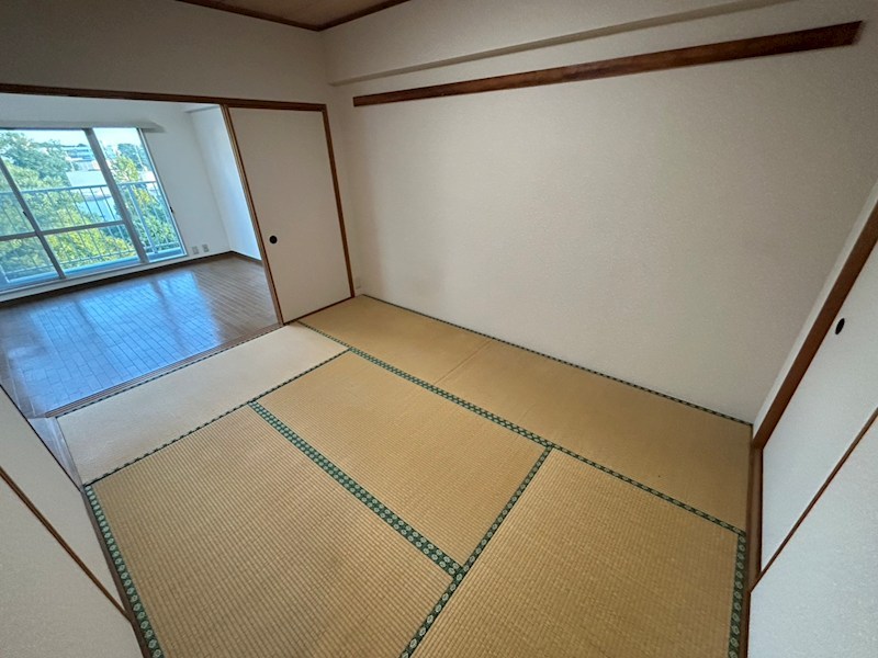 サンパセオ新柏E号館 その他18