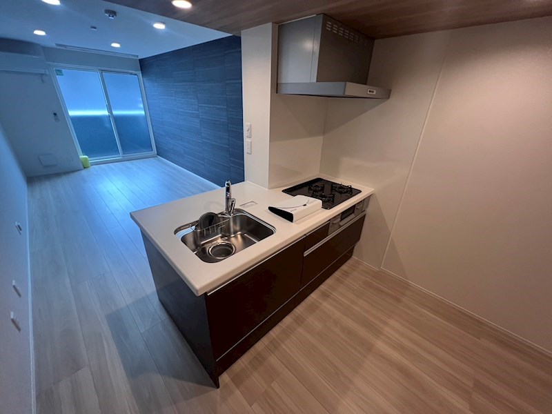 グラナーデ八潮 その他6