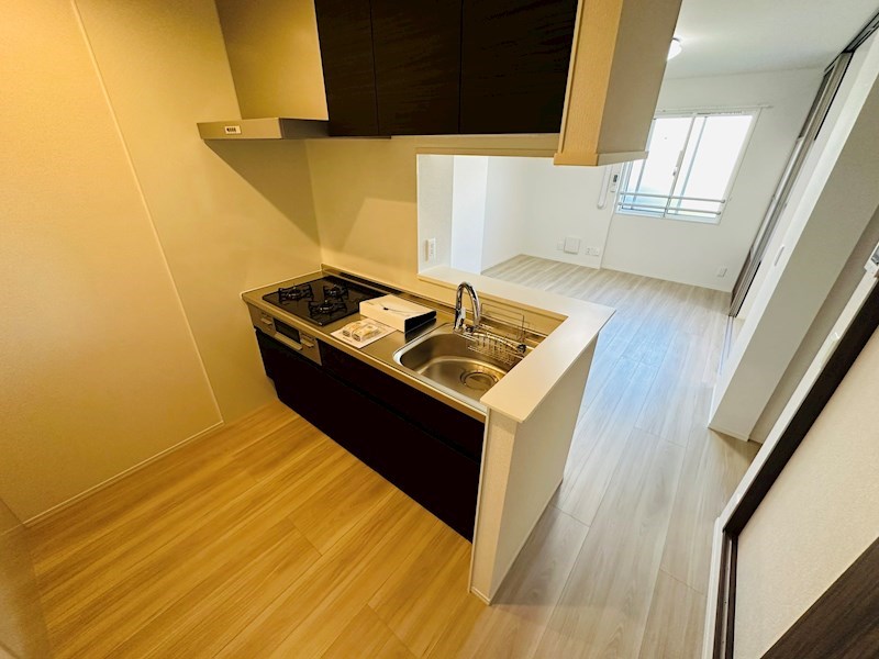 レグルス その他25