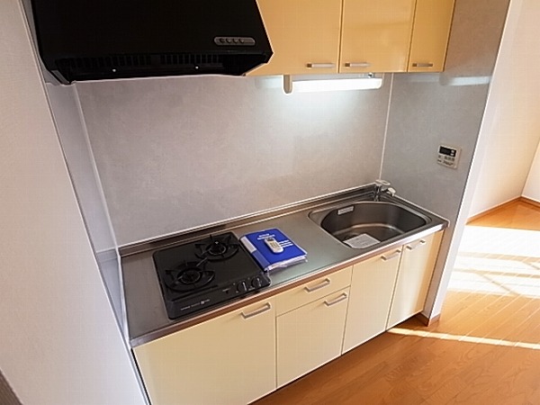 レカンドコリーヌ その他20