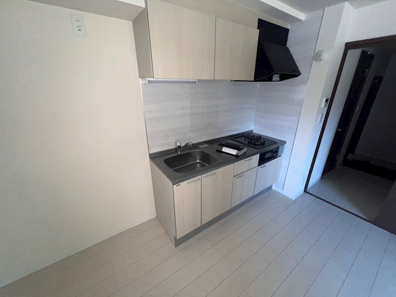 Ｅｘｃｅｌｓｉｓ（エクセルシス） その他33