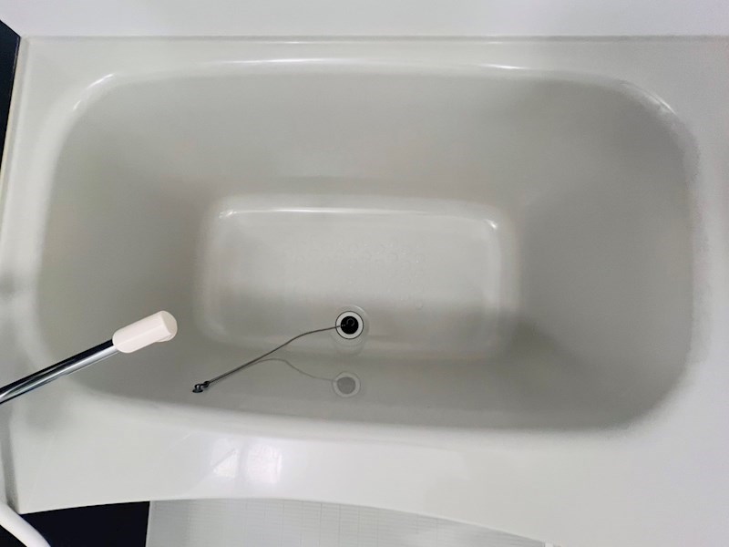 Myひまわり その他25