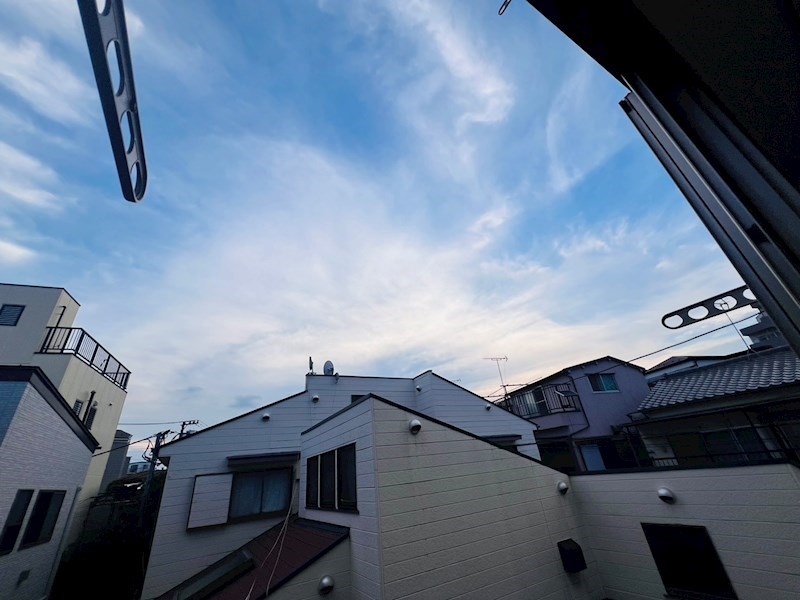 Myひまわり その他28