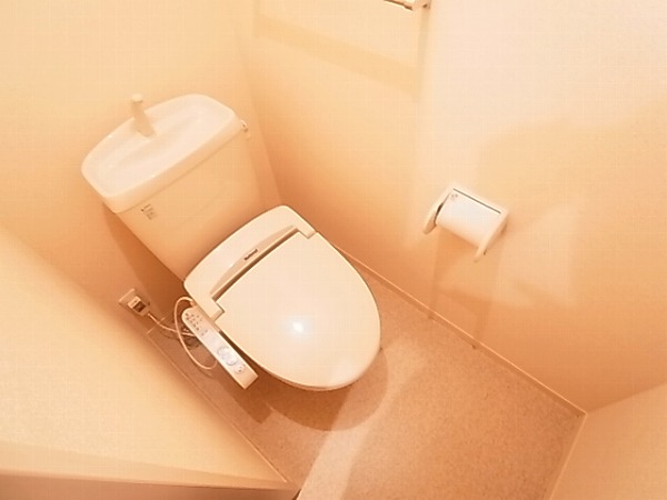 アネシス その他1