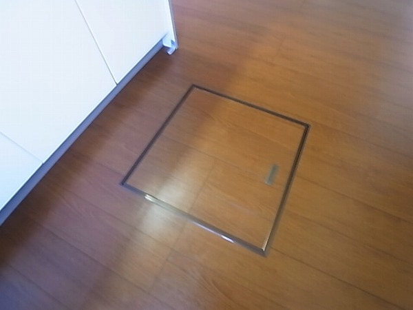 アネシス その他15