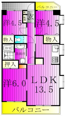 第二アーバンパルム 301号室 間取り