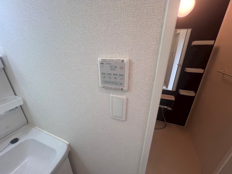 エヴァーアッシュ その他30