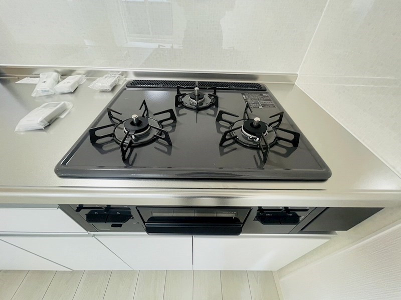 ウエスト・ハイランド・コート その他28