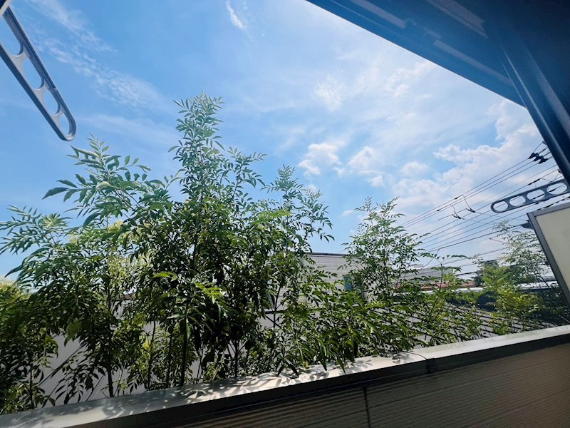 イビサ１ その他35