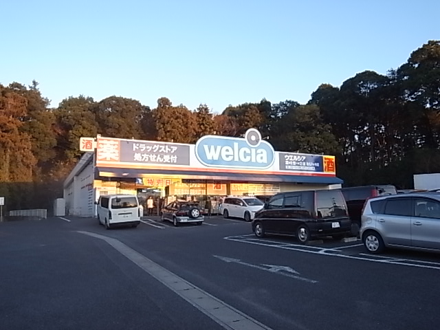 ルミナス ドラッグストア