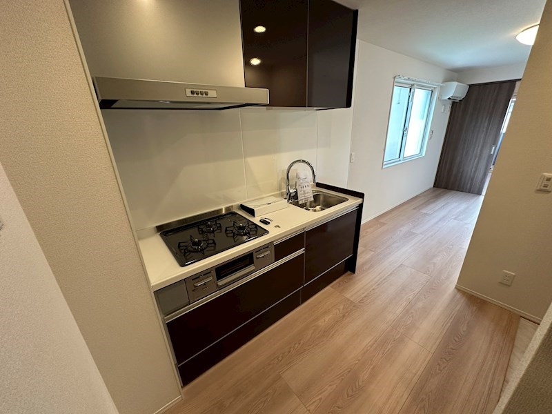 グラナーデ扇Ⅰ　C その他16