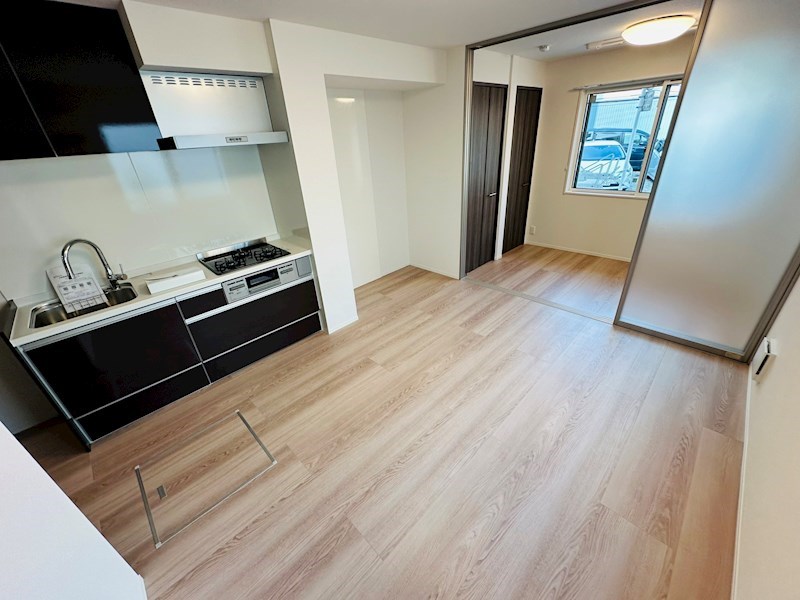 グラナーデ扇Ⅰ　C その他20