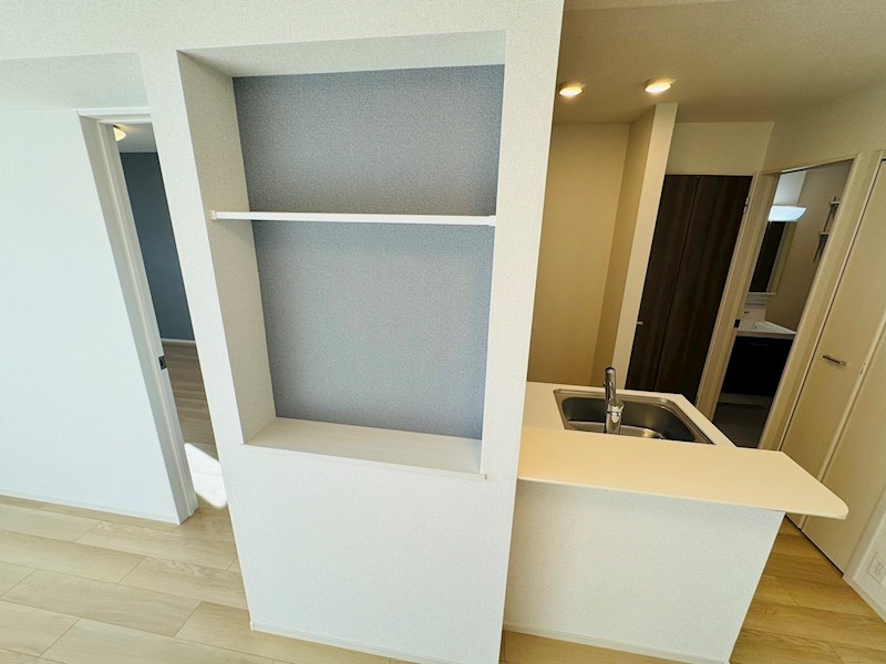 ソラリスＮ その他12