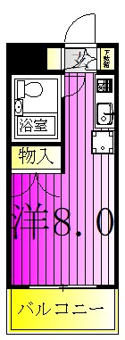 サンライズ北柏 205号室 間取り