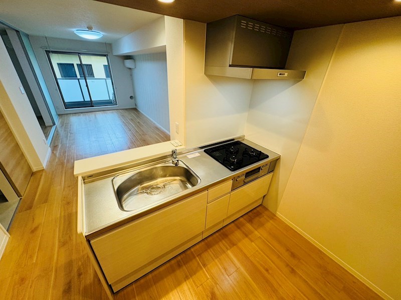 アドニス柏 キッチン