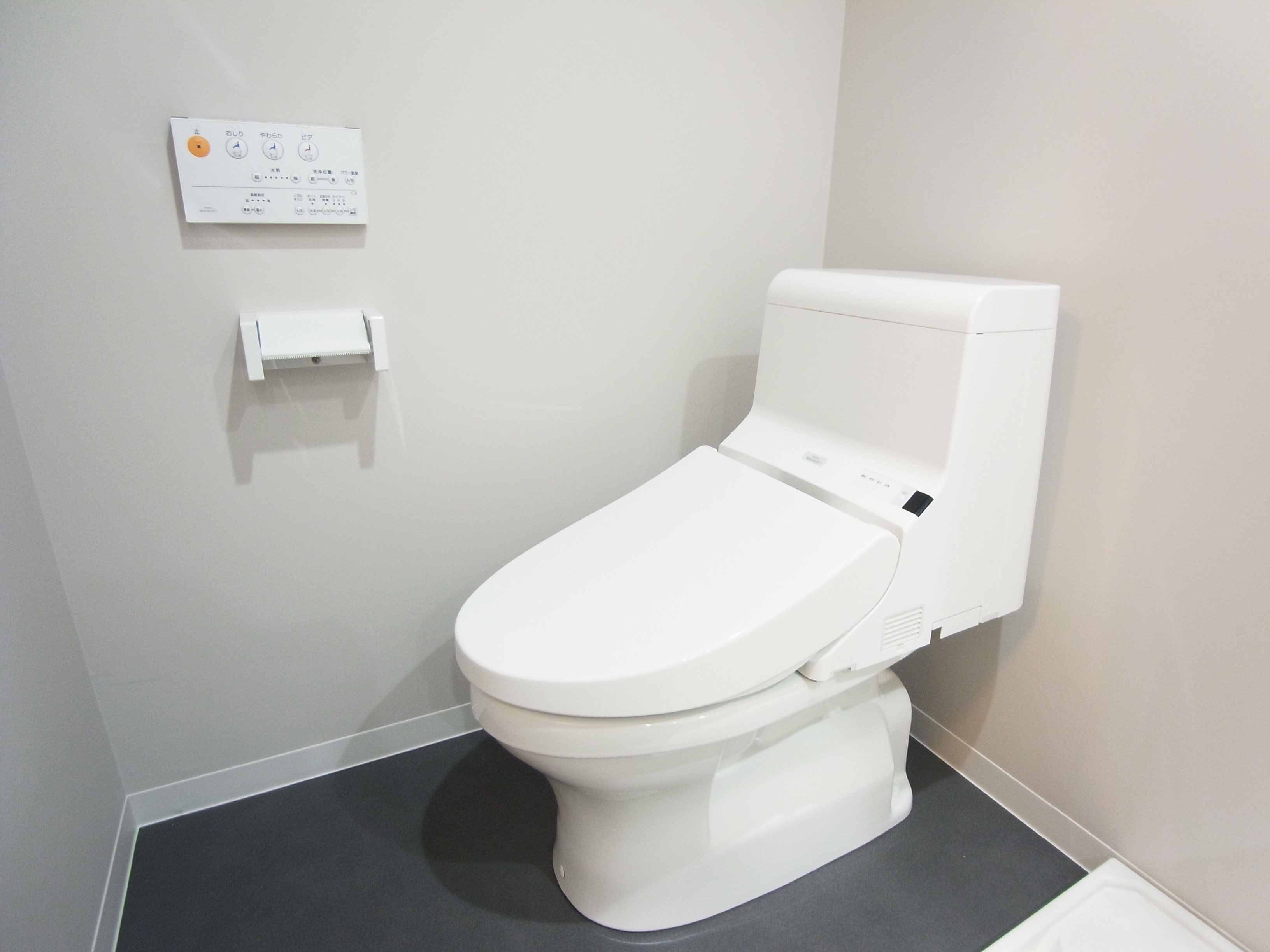 ドルフ柏 その他1