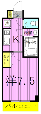 カレッジスクエア柏 205号室 間取り