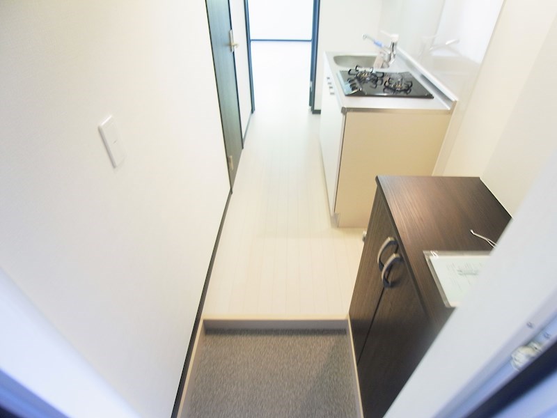 ルミエール柏 玄関