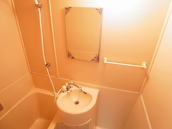 ロイヤルハイツ富士見台 その他2