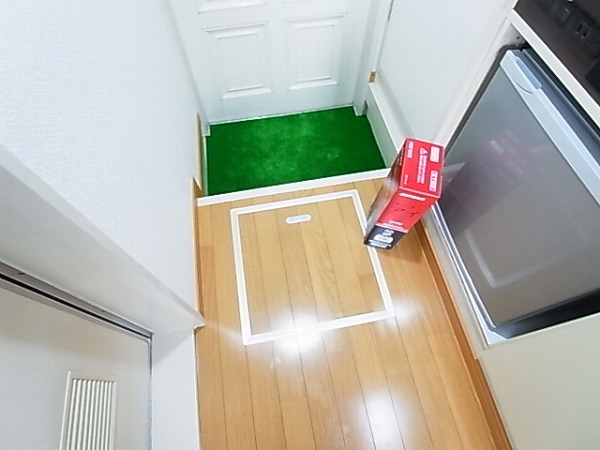 エルピア柏 その他8