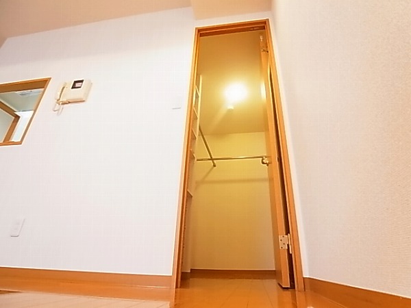 ルネス・フィエスタ その他3