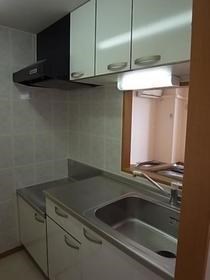 ルネス・フィエスタ その他6