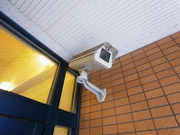 ルネス・フィエスタ その他外観4