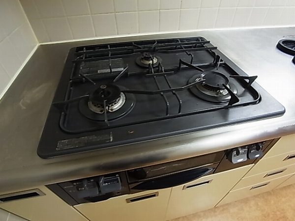 パーク・ノヴァ柏 その他16