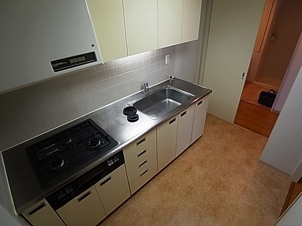 パーク・ノヴァ柏 その他17