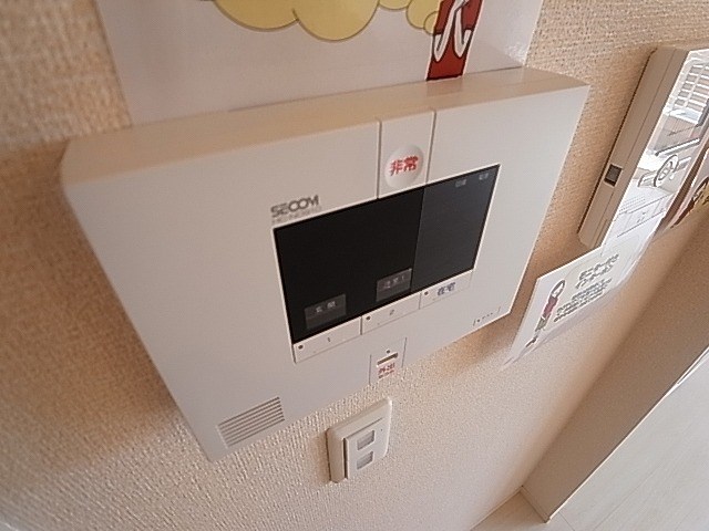 カーネリアン その他4