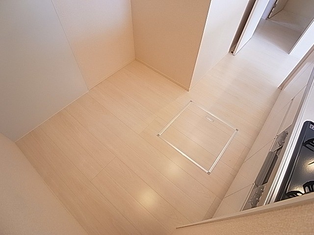 カーネリアン その他9
