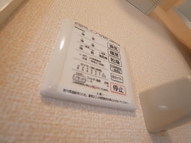 カーネリアン その他14
