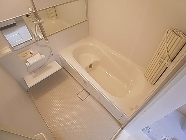 カーネリアン その他15