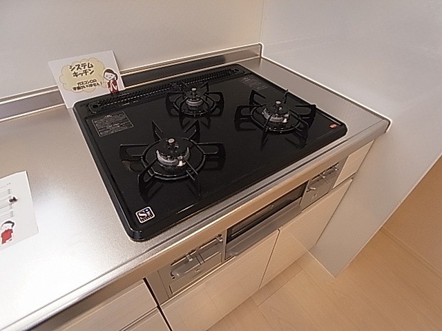 カーネリアン その他20